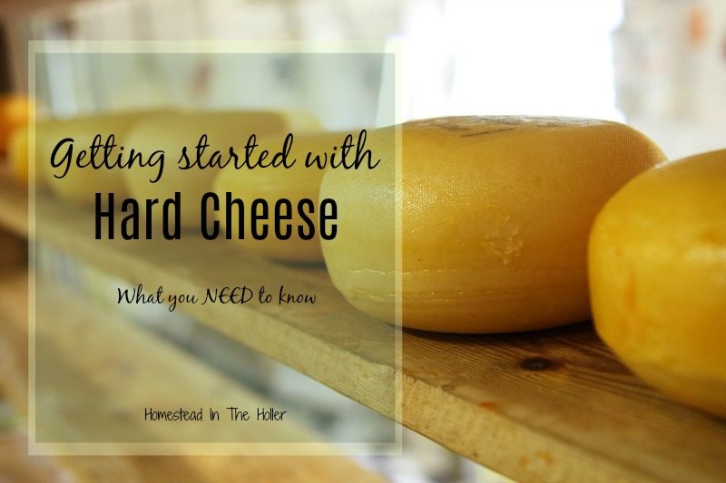 What you need to know before making hard cheese at home